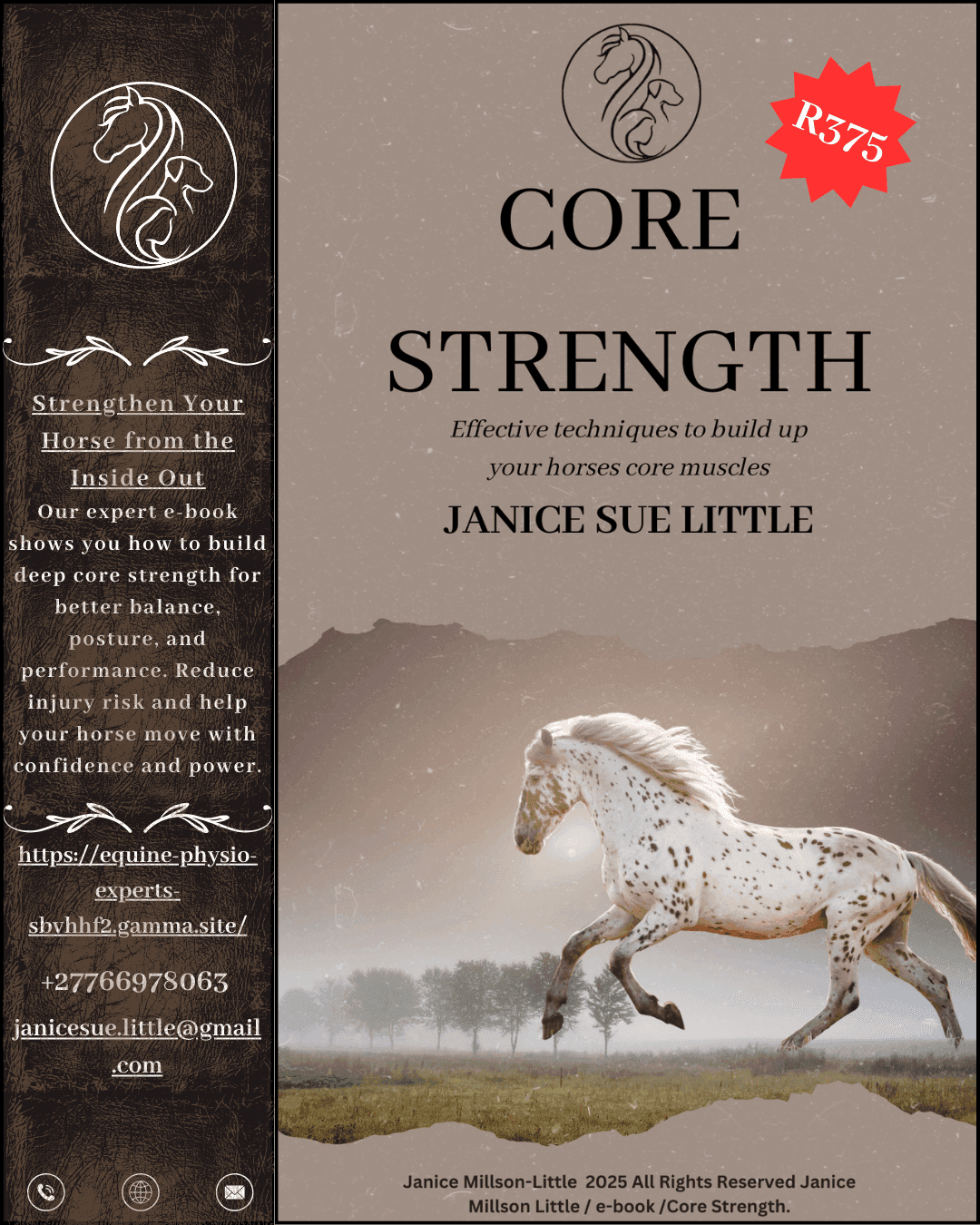 A Guide to Core strength
