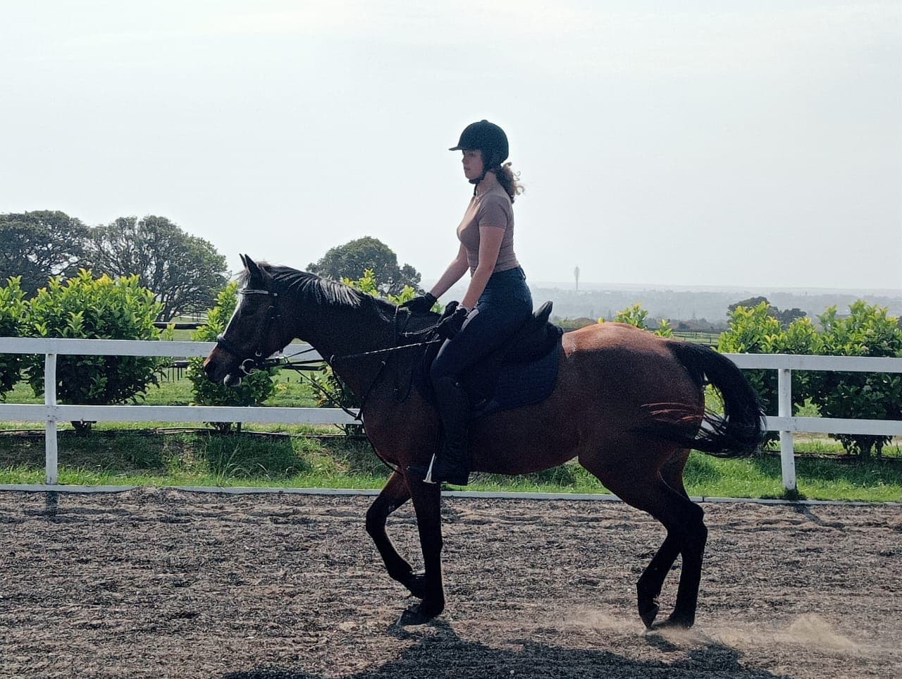 Owner Practical Workshop & Stretches